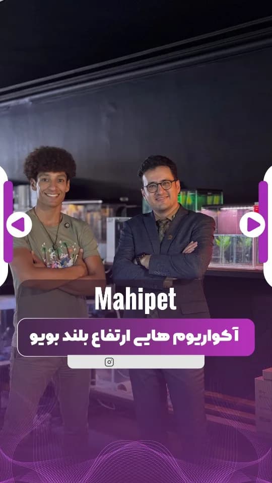 آکواریوم ارتفاع بلند بویو