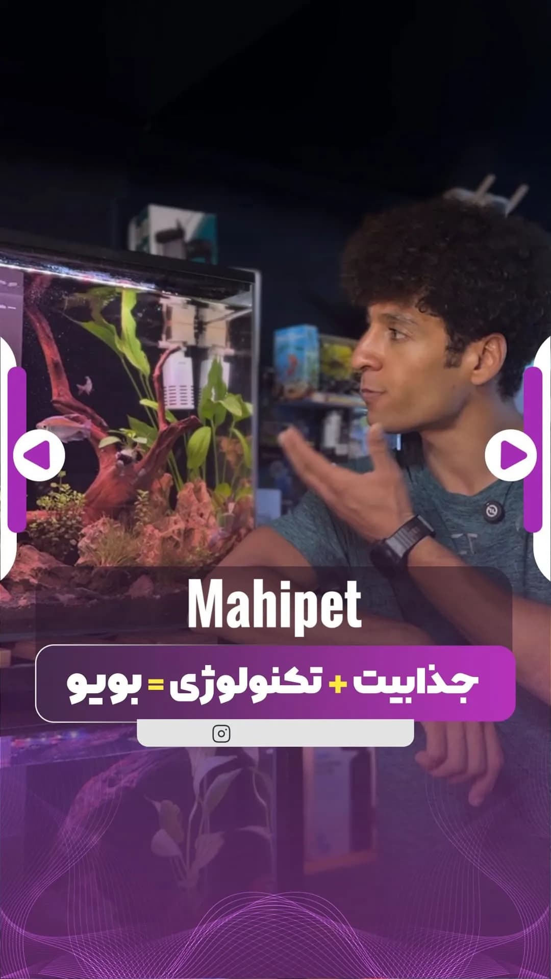 آکواریوم ارتفاع بلند بویو