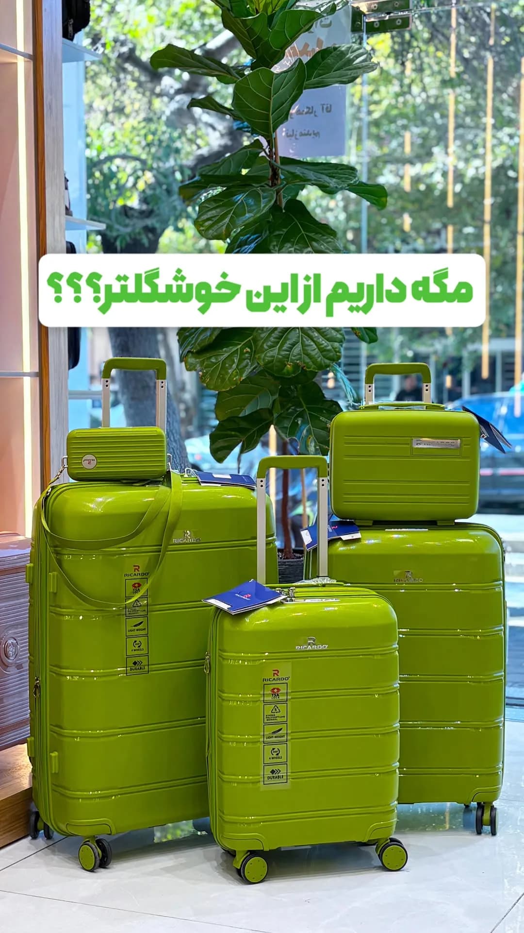 چمدان پنج‌تکه ریکاردو