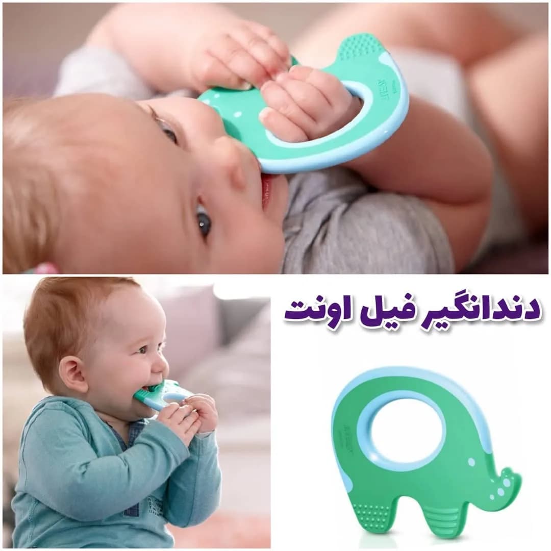 دندانگیر فیل اونت