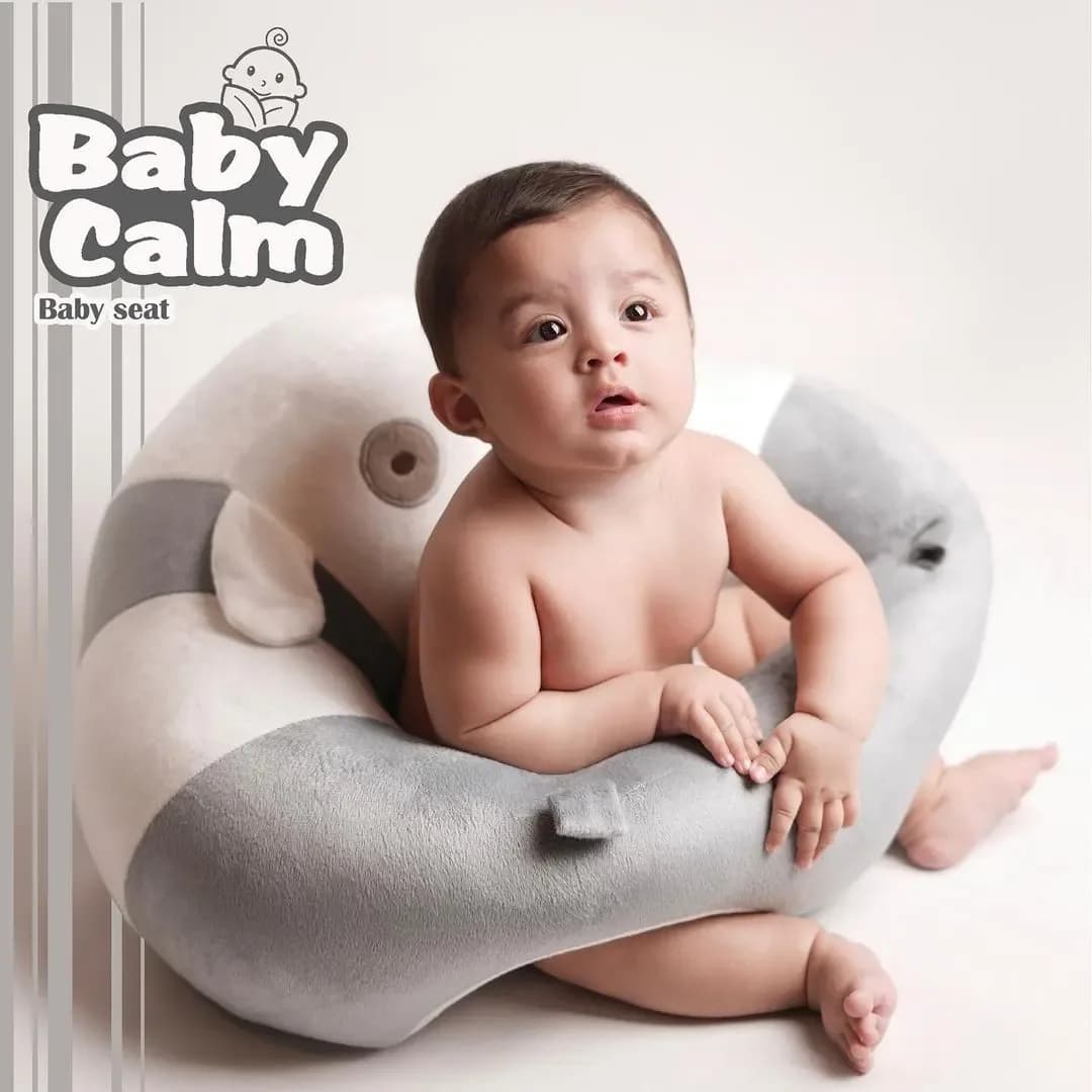 مبل و صندلی کمک آموزشی نوزاد Baby Calm، رنگ خاکستری و سفید، جنس پارچه، پشتی نوزاد