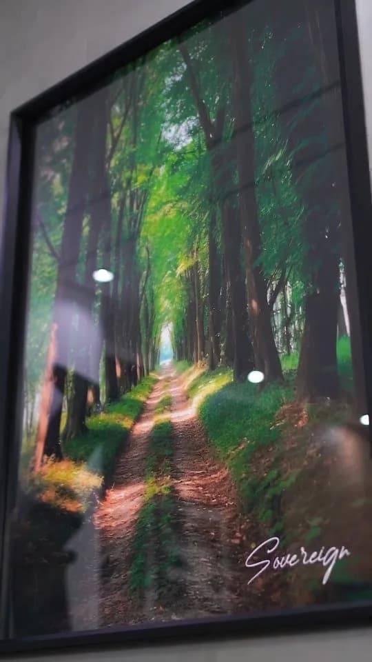 قاب عکس توگود ۲۰۸
