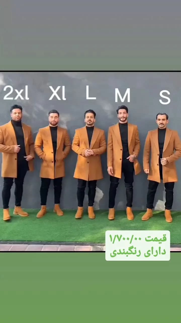 پالتو