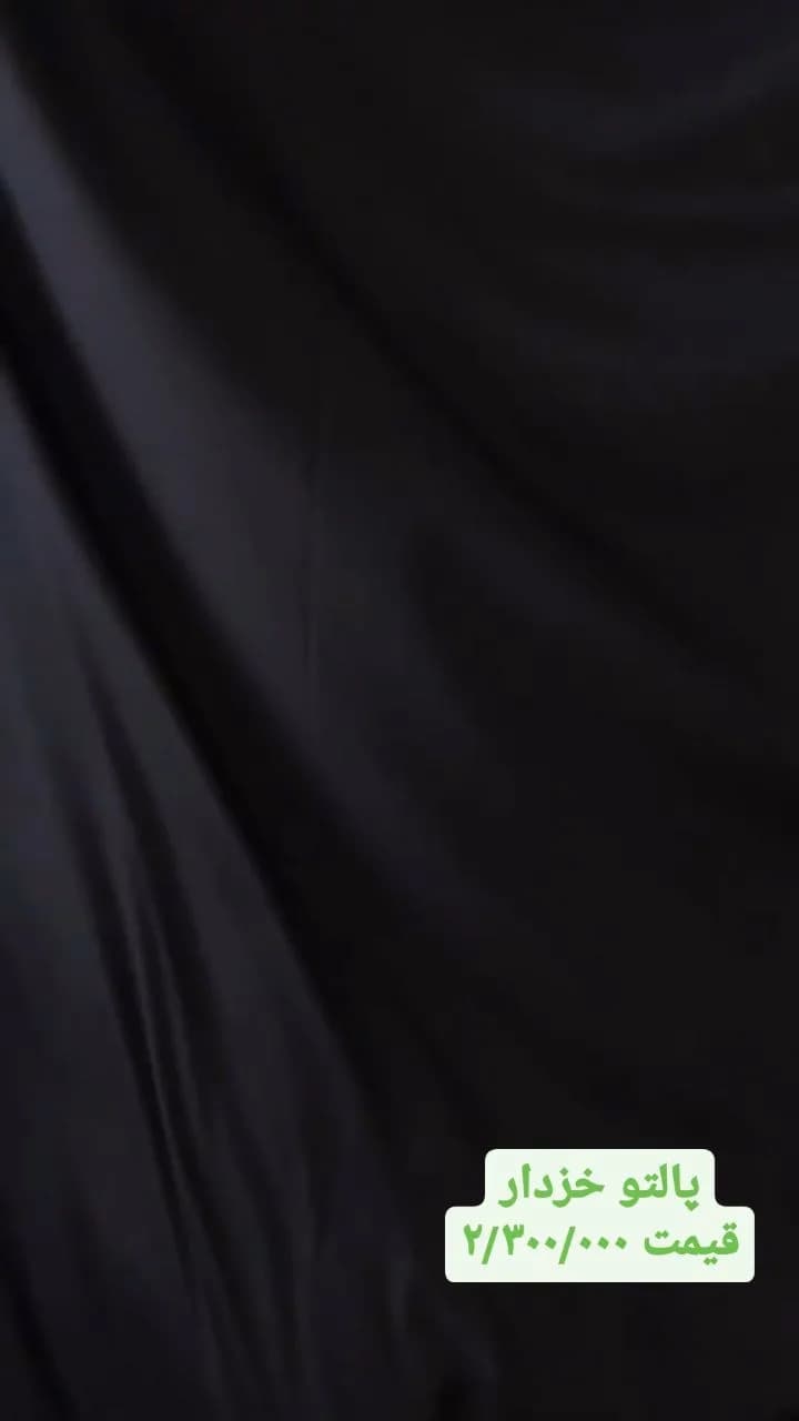 پالتو خزدار