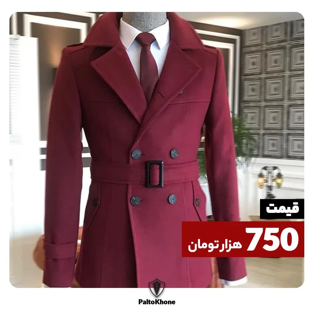 پالتو