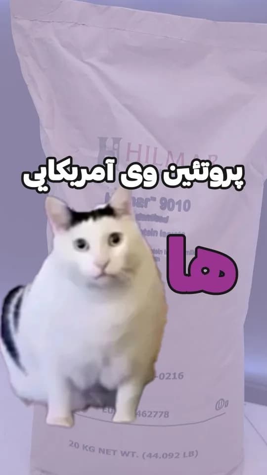 پروتئین وی ایزوله هیلمار، رنگ سفید، کیسه پودر
