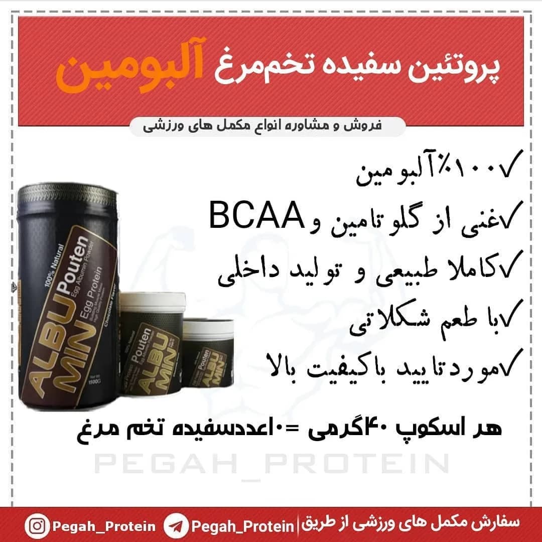 پودر آلبومین سفیده تخممرغ پگاه