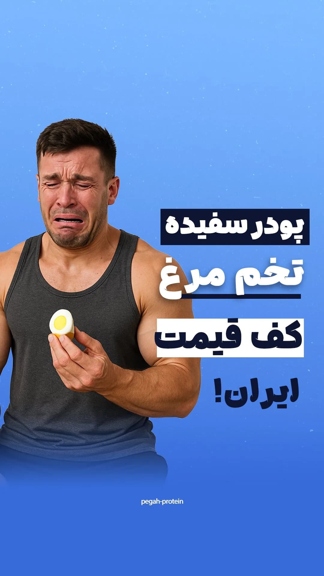 پودر سفیده تخممرغ آلبومین