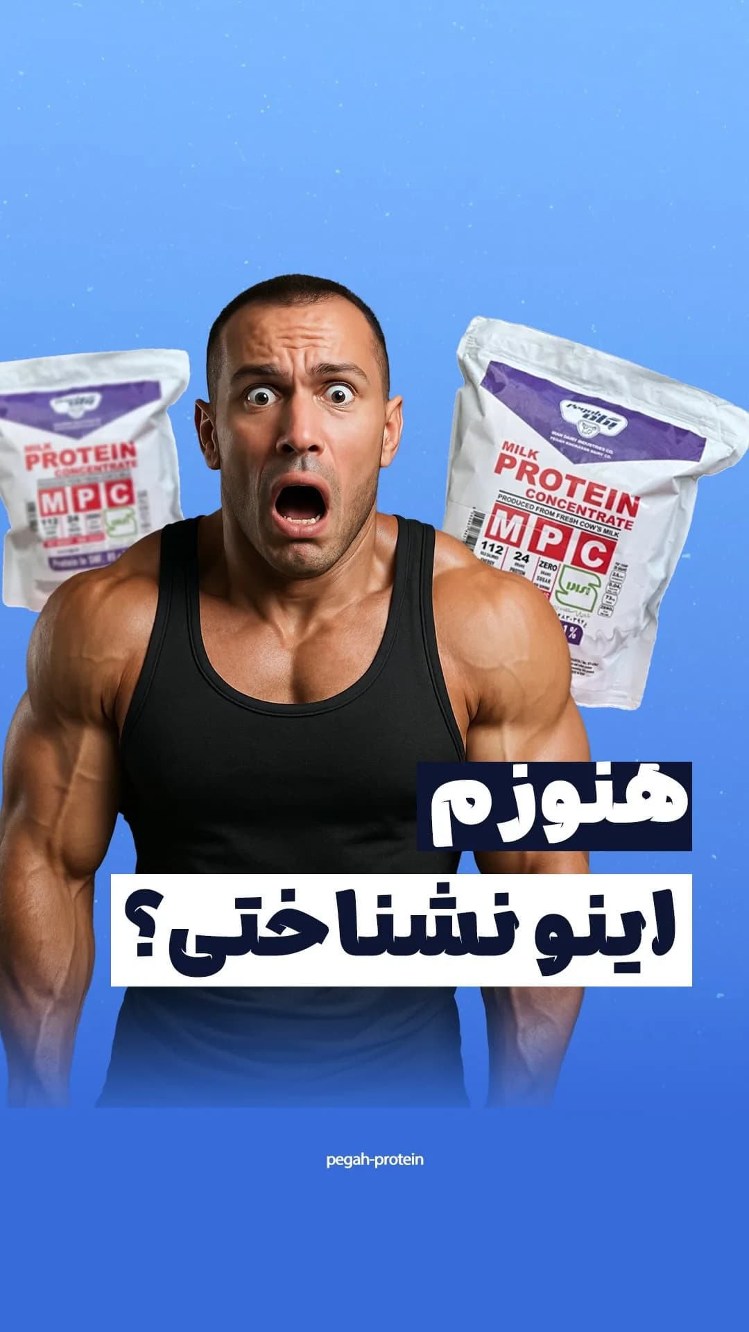 پروتئین شیر MPI پگاه، رنگ سفید و بنفش، کیسه