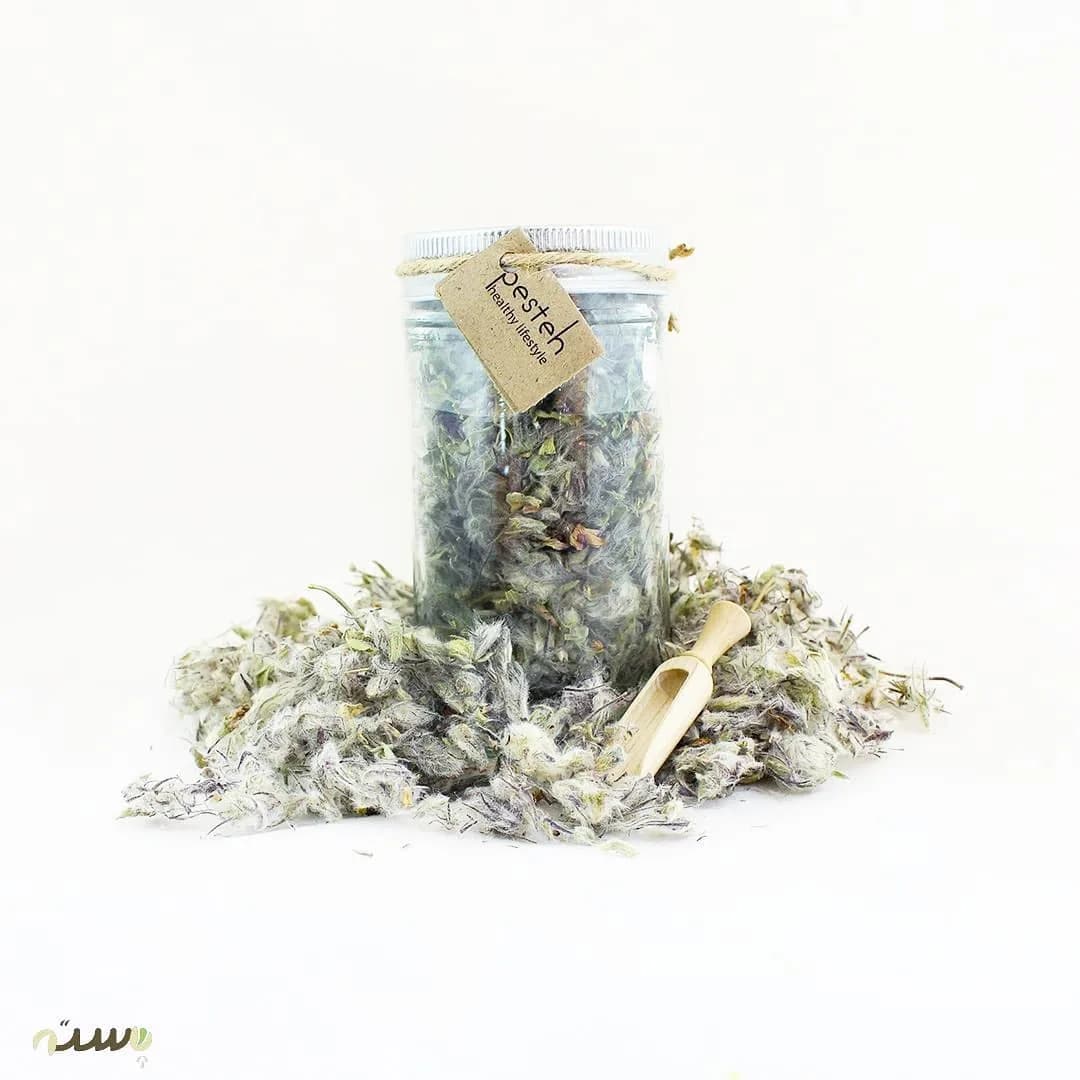 چای کوهی