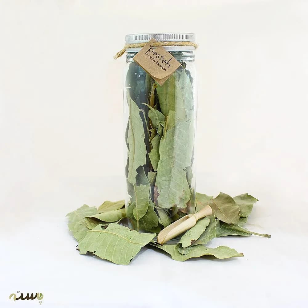 دمنوش برگ انبه، رنگ سبز و کرم، جنس شیشه و چوب، استوانه‌ای