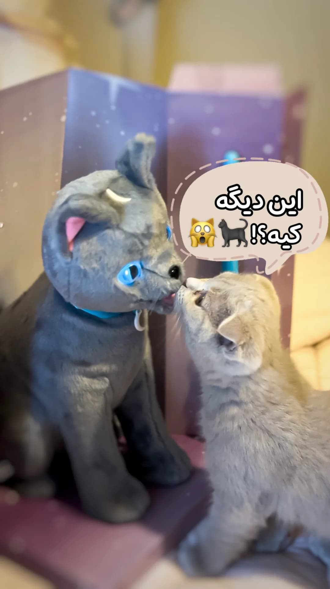 عروسک گربه سخنگو Mystery Mao، رنگ خاکستری، جنس پولاریس، نرم، شکل گربه