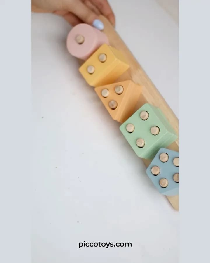 اسباببازی چوبی جاگذاری