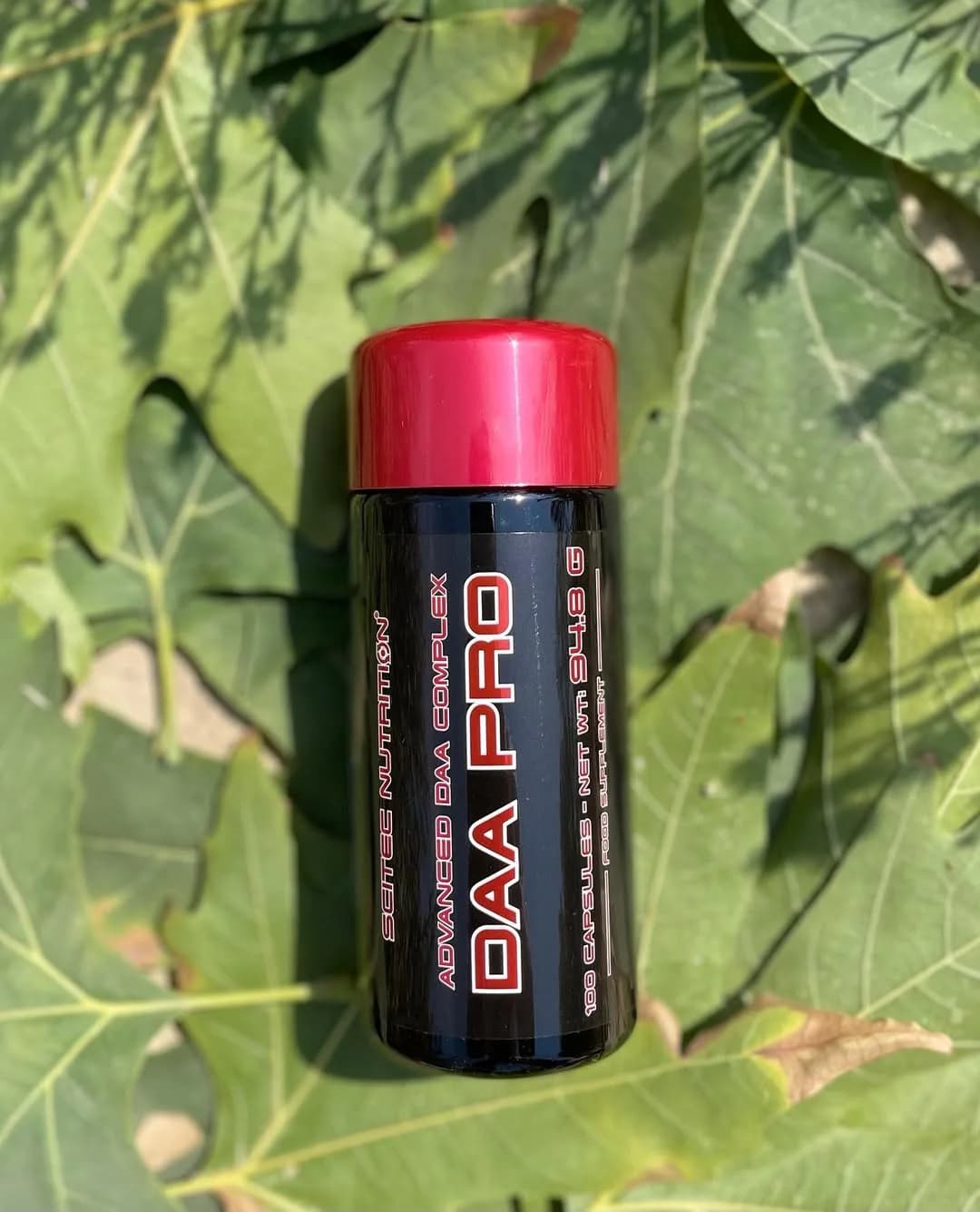 مکمل DAA PRO سایتک Scitec Nutrition، رنگ مشکی و قرمز، جنس پلاستیک، بطری کپسولی