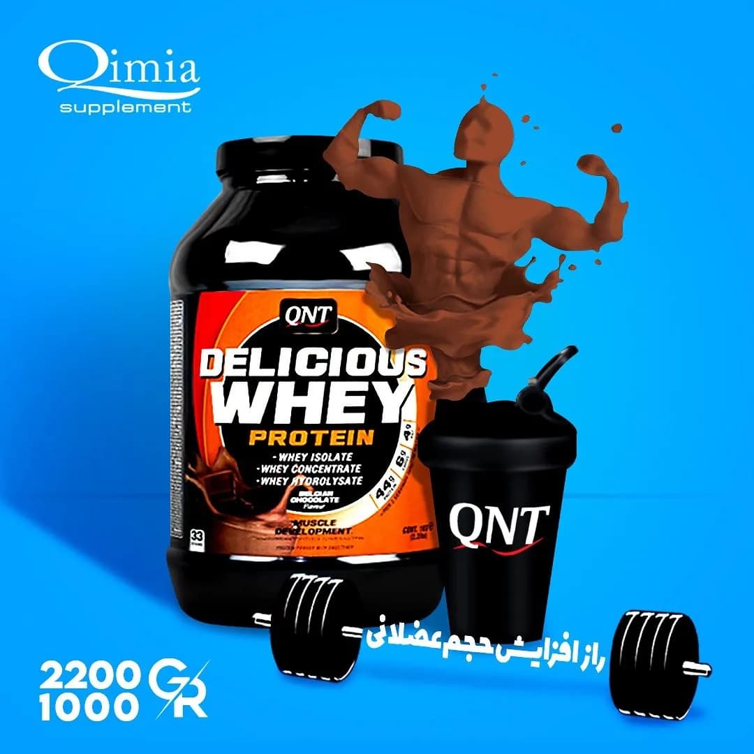 پودر پروتئین وی دلیشس QNT