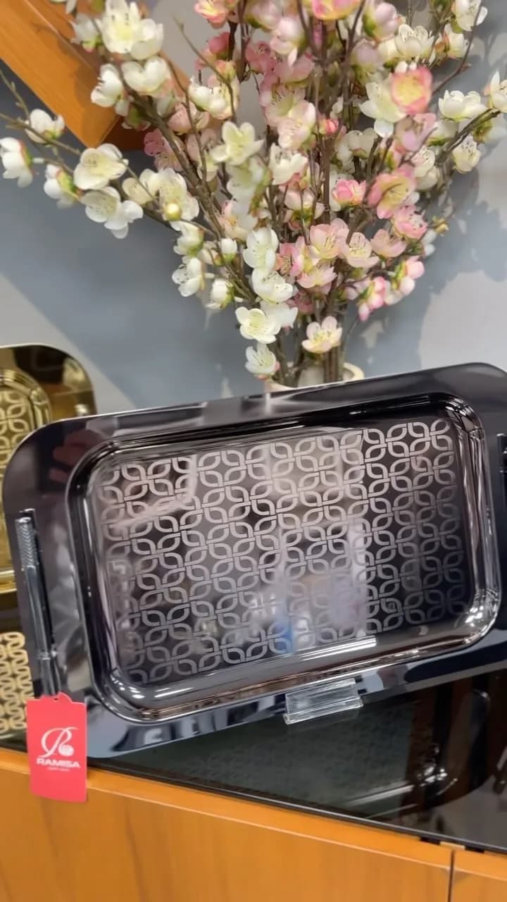 سینی اقتصادی مدل مایا رامیسا