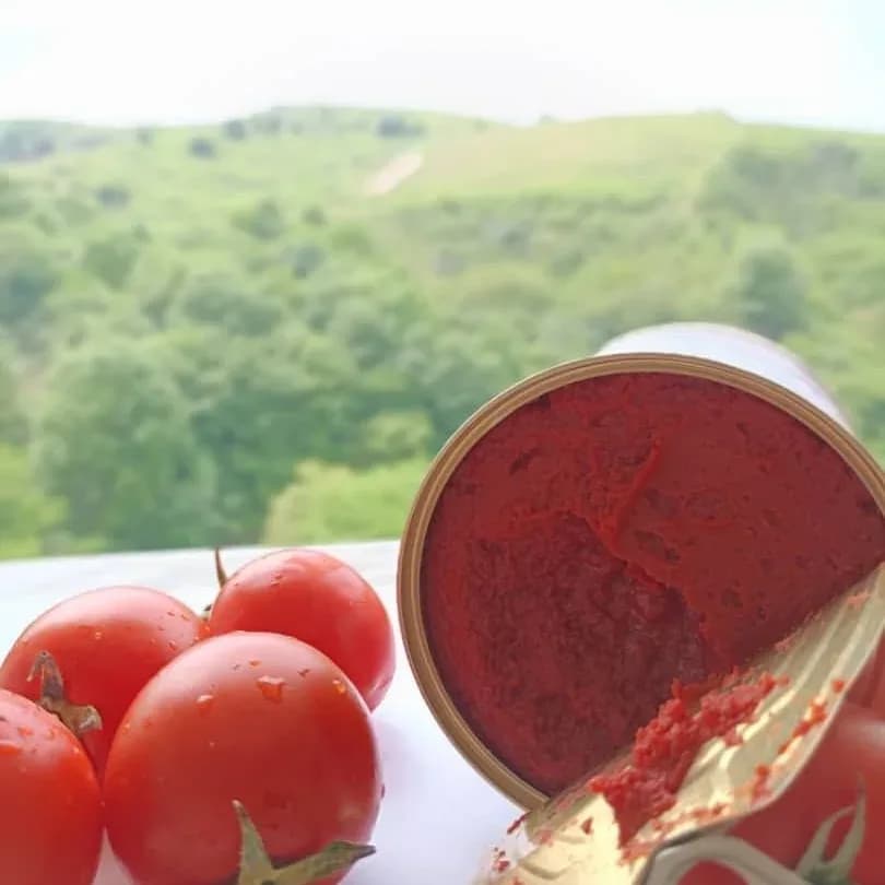 رب گوجه فرنگی بریکس ۲۸ بست