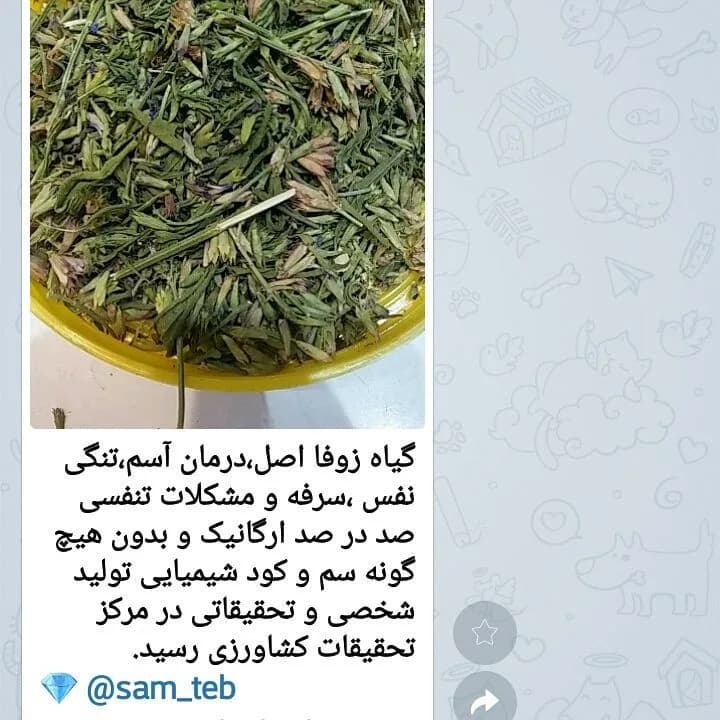 گیاه زوفا، رنگ سبز و قهوهای، جنس گیاهی، گیاه خشک