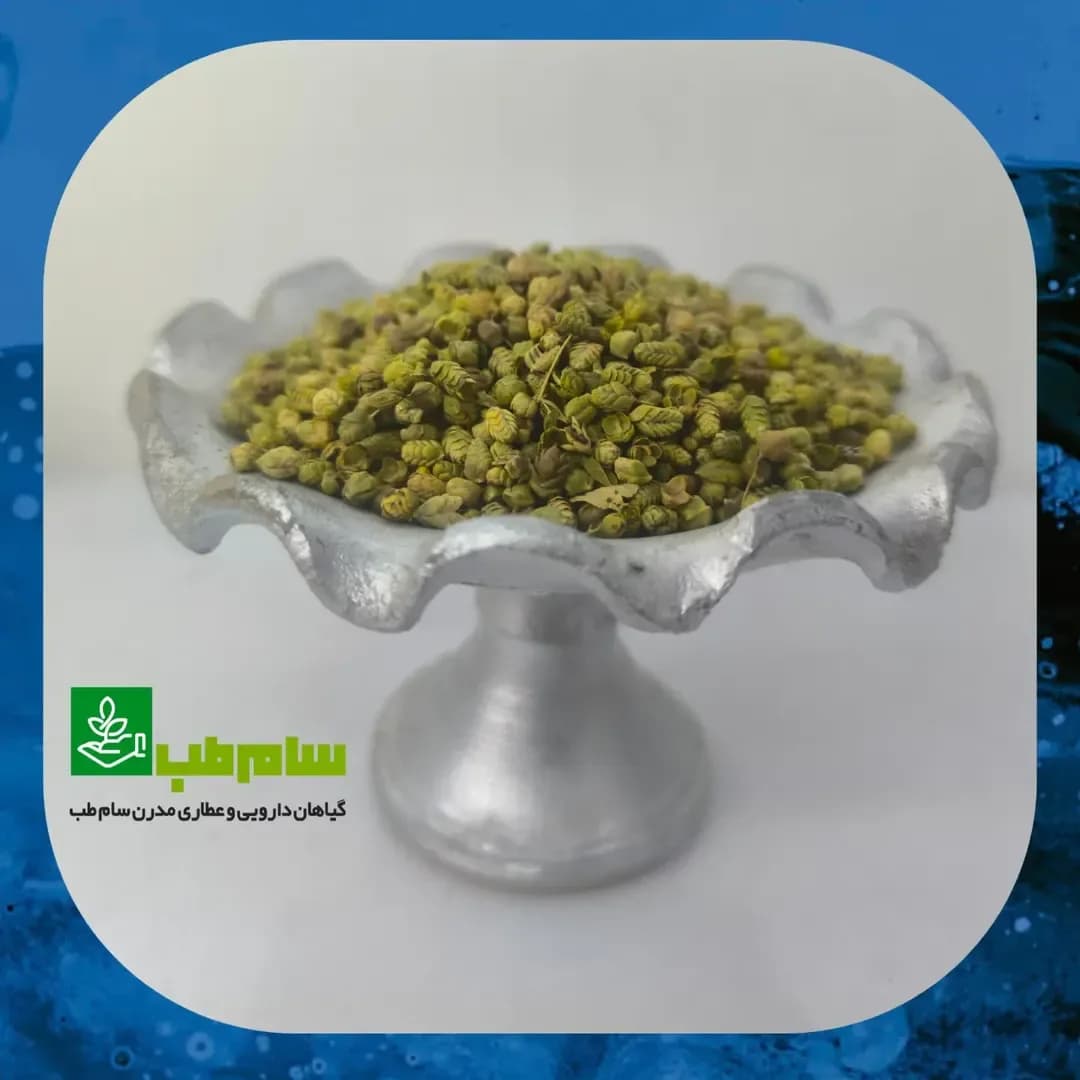 ادویه اورگانو