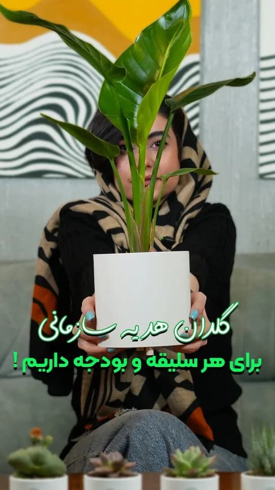 گلدان گیاه هدیهی سازمانی با لوگو
