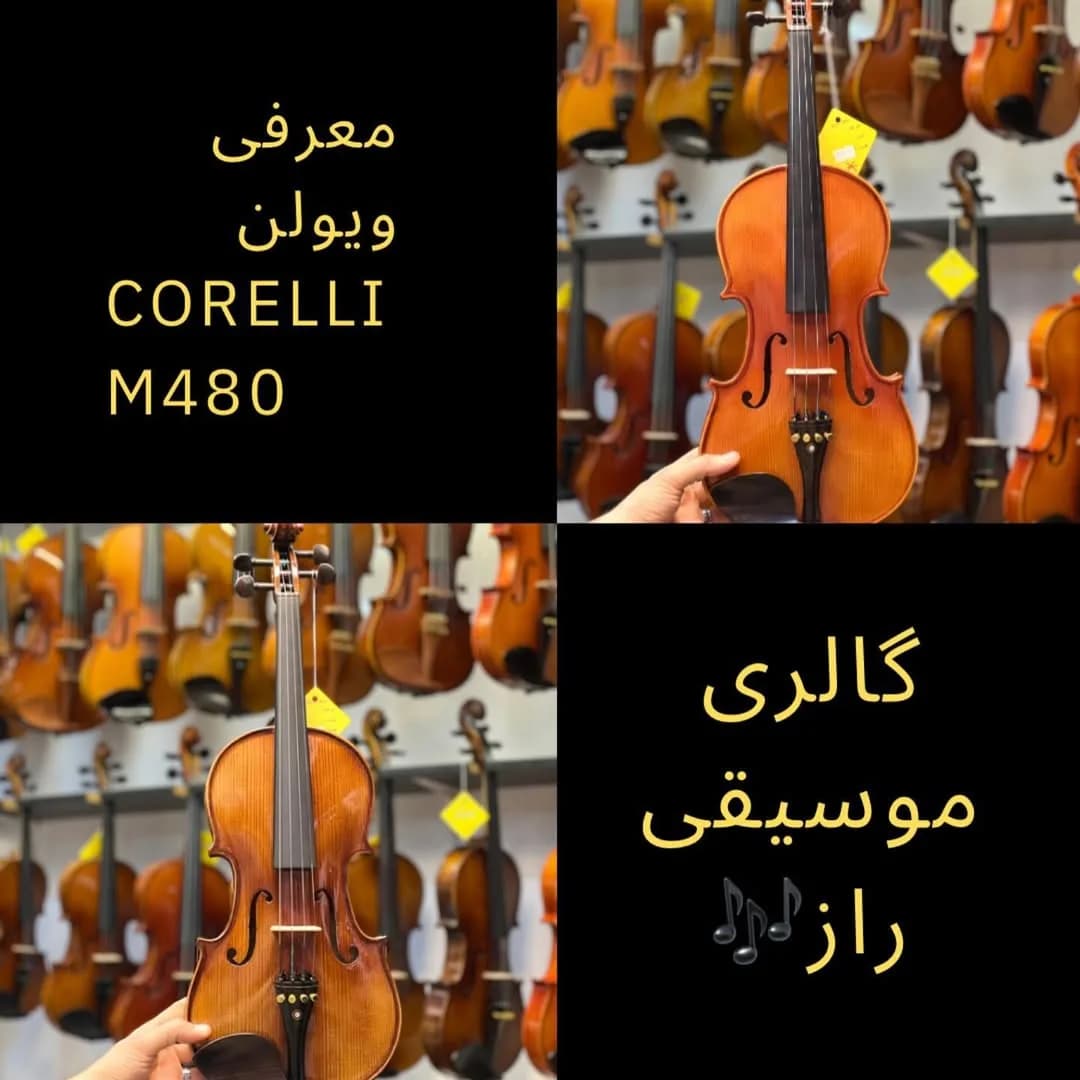 ویولن M480 کورلی
