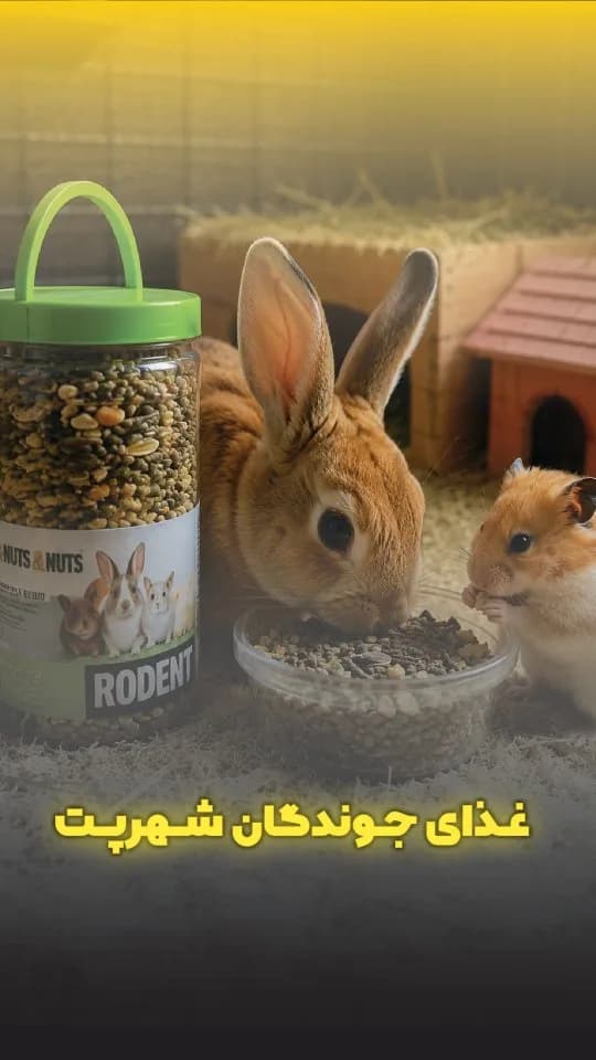 غذای جوندگان آجیلی ۱۴۰۰ گرم شهرپت، رنگ سبز و شفاف، جنس پلاستیک و شیشه، ظرف استوانهای