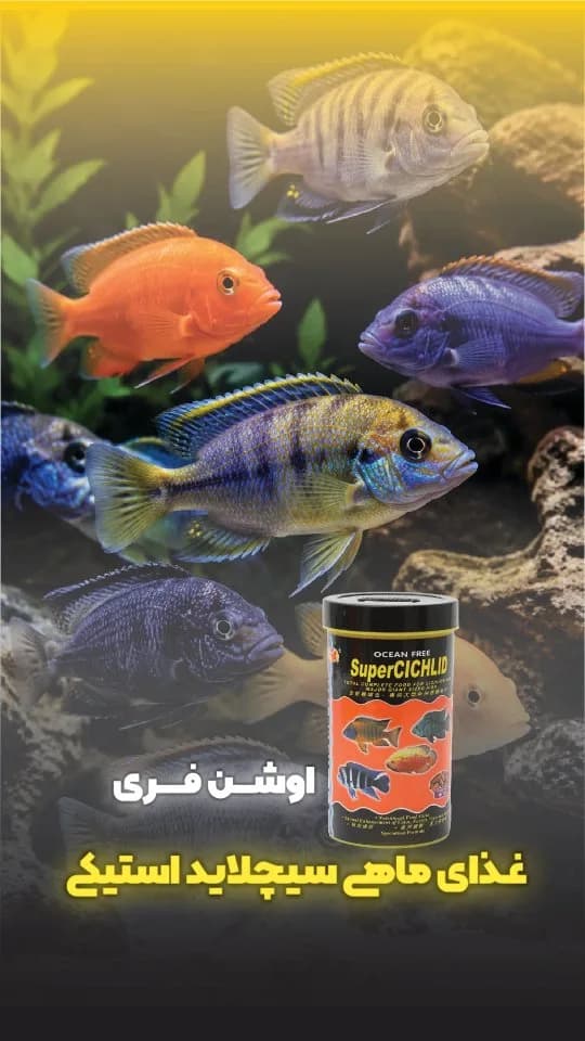 غذای ماهی سیکلید استیکس اوشن فری، رنگ مشکی و زرد، جنس پلاستیک، قوطی استوانهای
