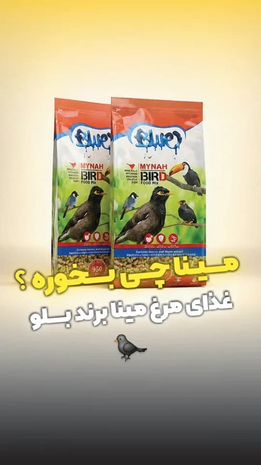 غذای مرغ مینا و پرندگان حشره خوار بلو