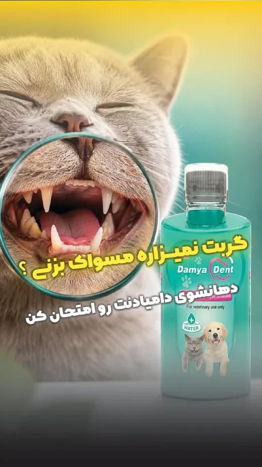 دهانشویه دندان سگ و گربه Damya Dent، رنگ سبز، سفید و صورتی، جنس پلاستیک، بطری پلاستیکی استوانهای