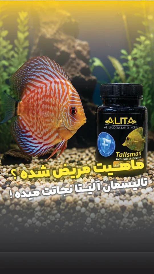داروی چندمنظوره ماهیان آکواریومی تالیسمان آلیتا