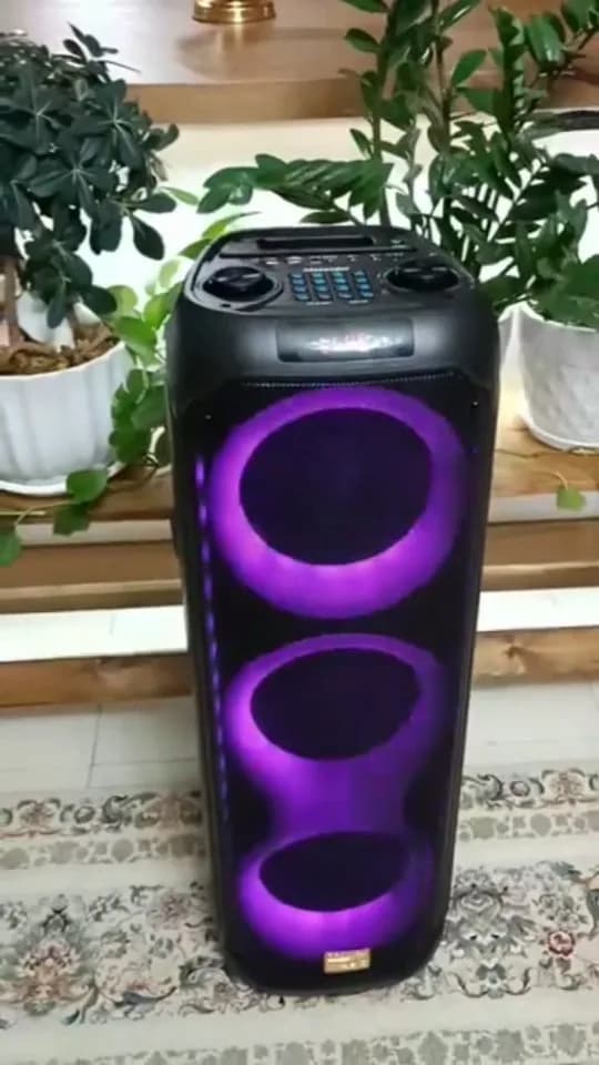 اسپیکر چمدانی CN 819N مکسیدر، رنگ مشکی و بنفش، جنس پلاستیک، ایستاده، نوردار