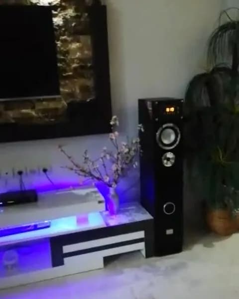 اسپیکر بدنه MDF با رادیو، رنگ مشکی و نقرهای، جنس پلاستیک، ایستاده، تک تکه