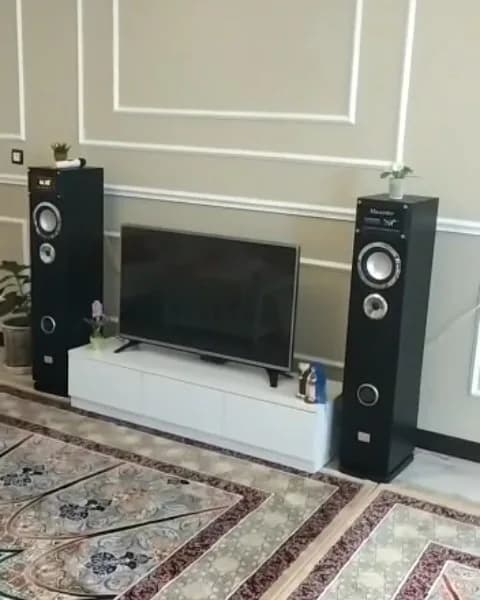 اسپیکر بدنه MDF با رادیو، رنگ مشکی و نقرهای، جنس پلاستیک و چوب، برجی بزرگ