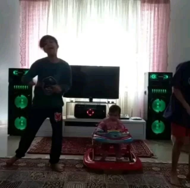 اسپیکر چراغدار مکسیدر، رنگ مشکی و سبز، جنس پلاستیک، ایستاده