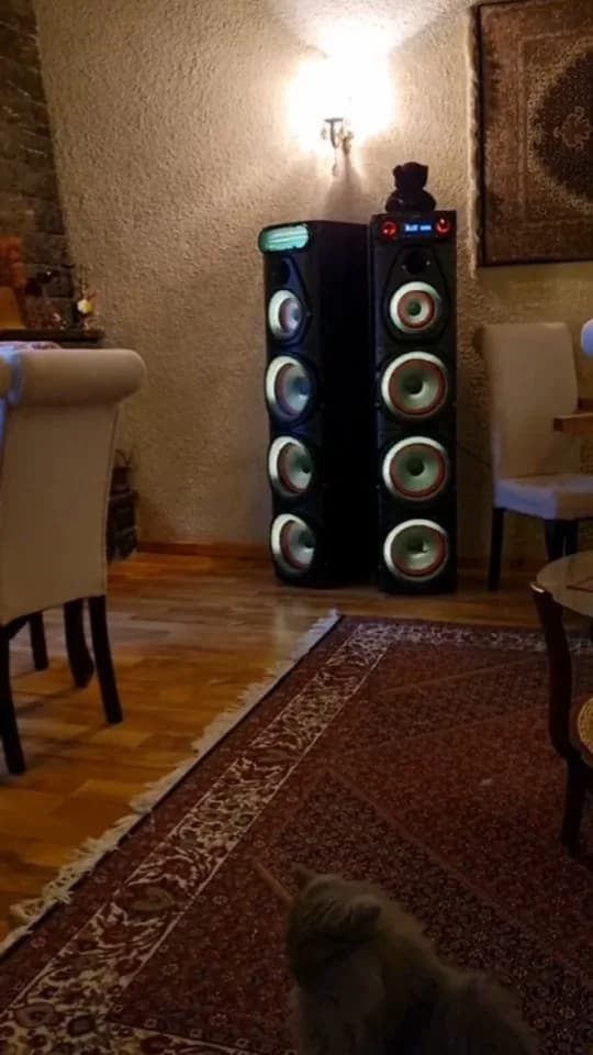 اسپیکر آیوا، رنگ مشکی، جنس پلاستیک، بلند، چند ووفر