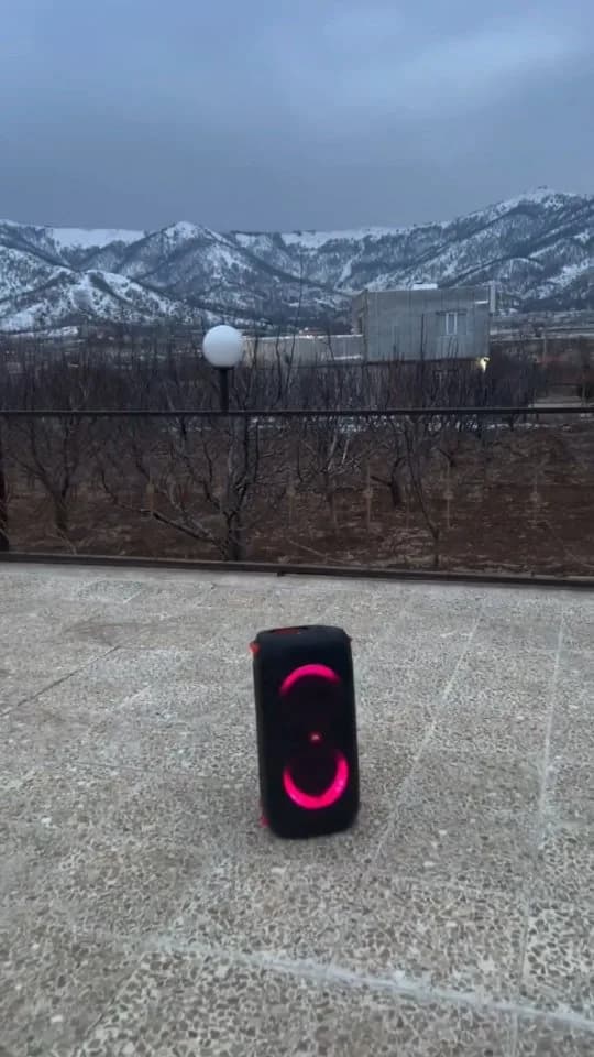 اسپیکر قابل حمل Partybox 110 JBL، رنگ مشکی و صورتی، جنس پلاستیک، مستطیلی، دارای نور