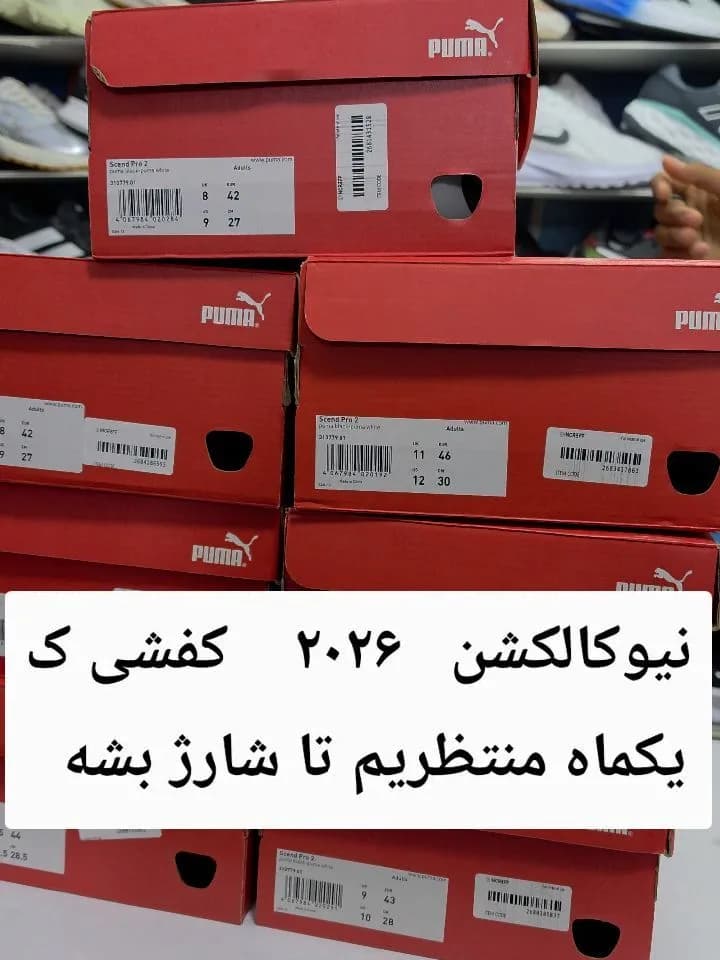 کفش رانینگ Scend Pro 2 پوما
