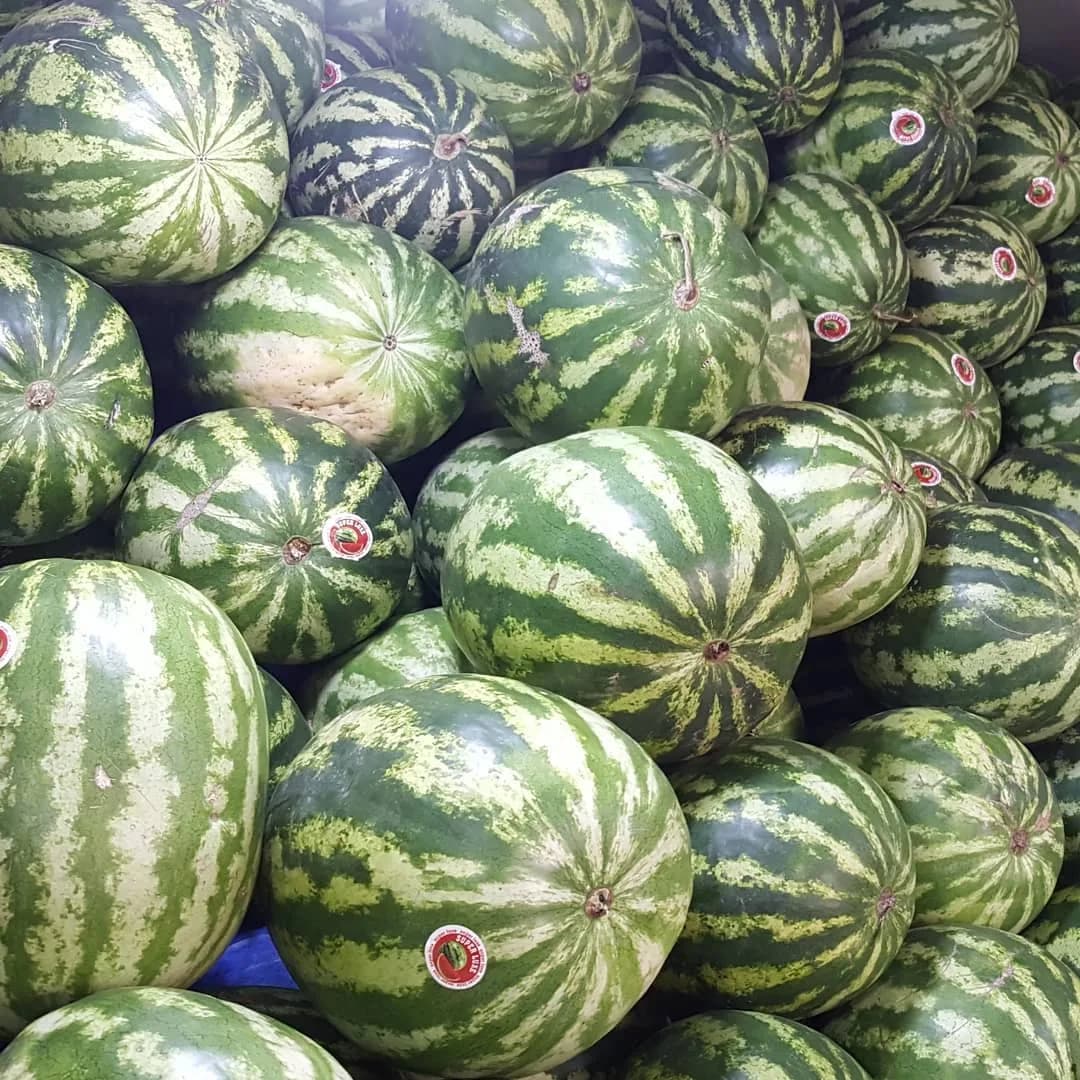 هندوانه