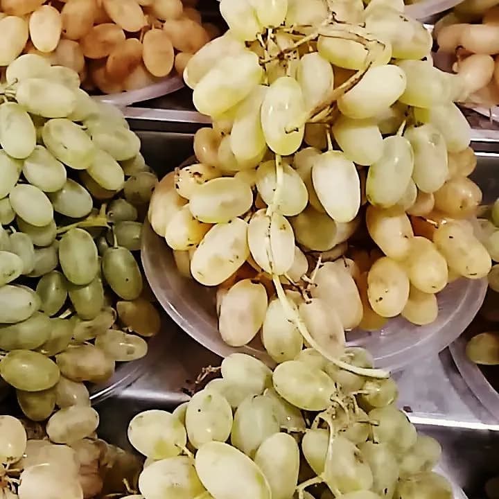 انگور مهره