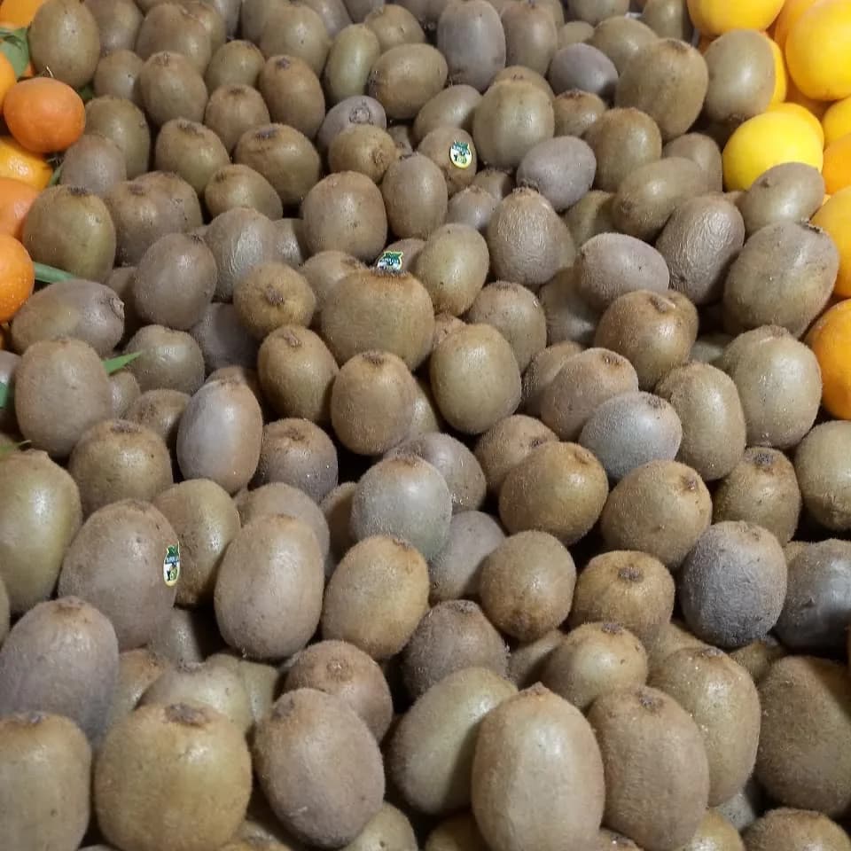 کیوی