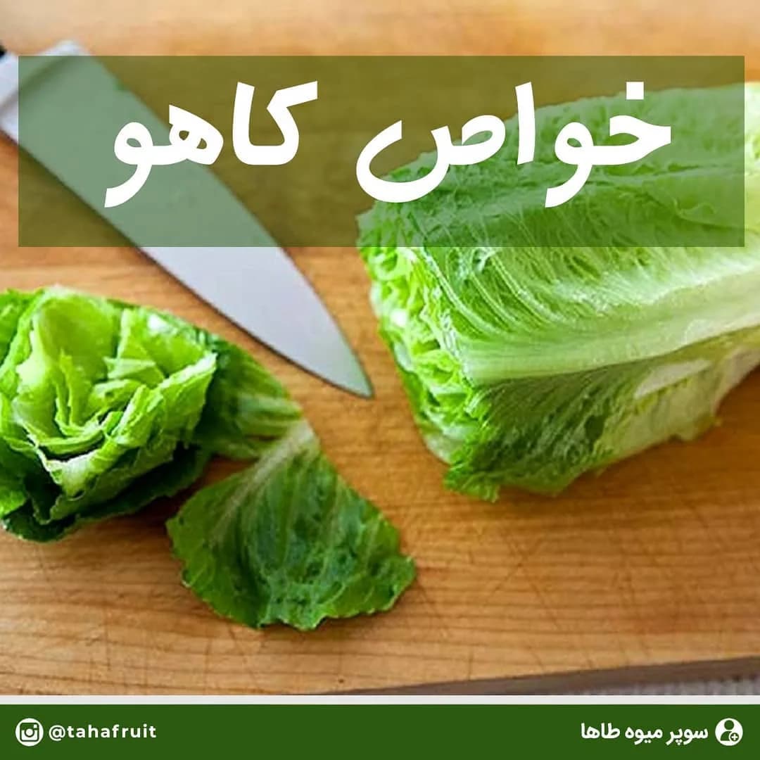 کاهو، رنگ سبز و سفید، برگ‌دار