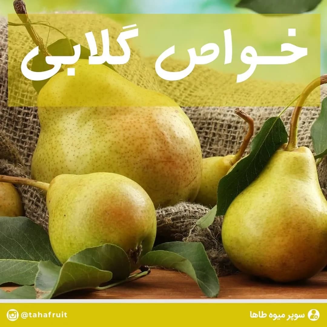 گلابی، رنگ زرد و سبز، میوه