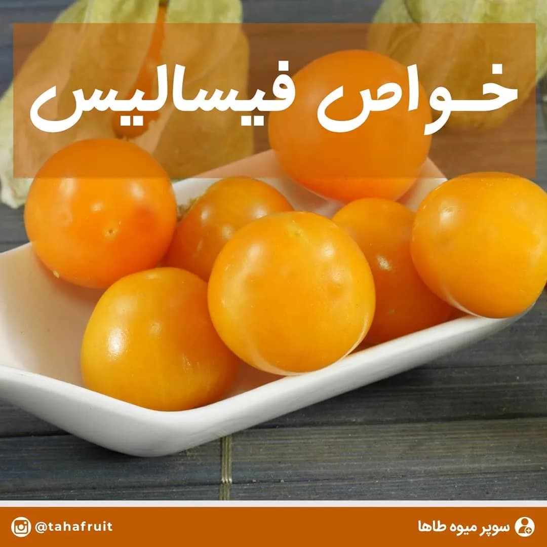 فیسالیس