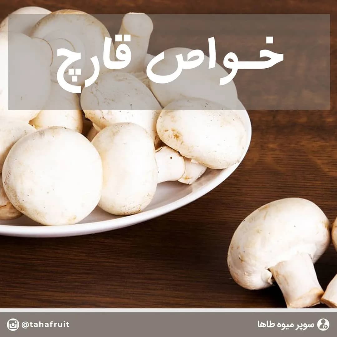 قارچ، رنگ سفید