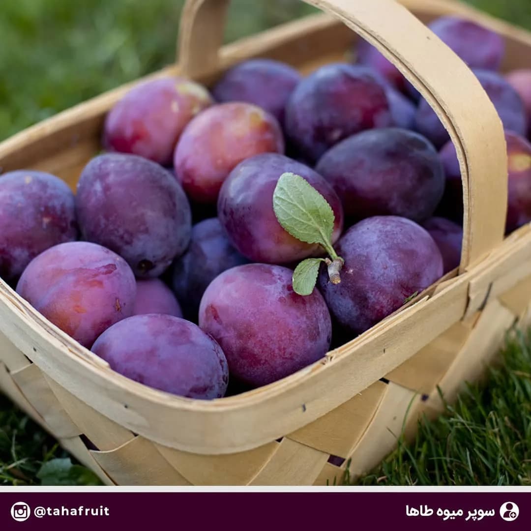 آلو قرمز، رنگ بنفش، بیضی