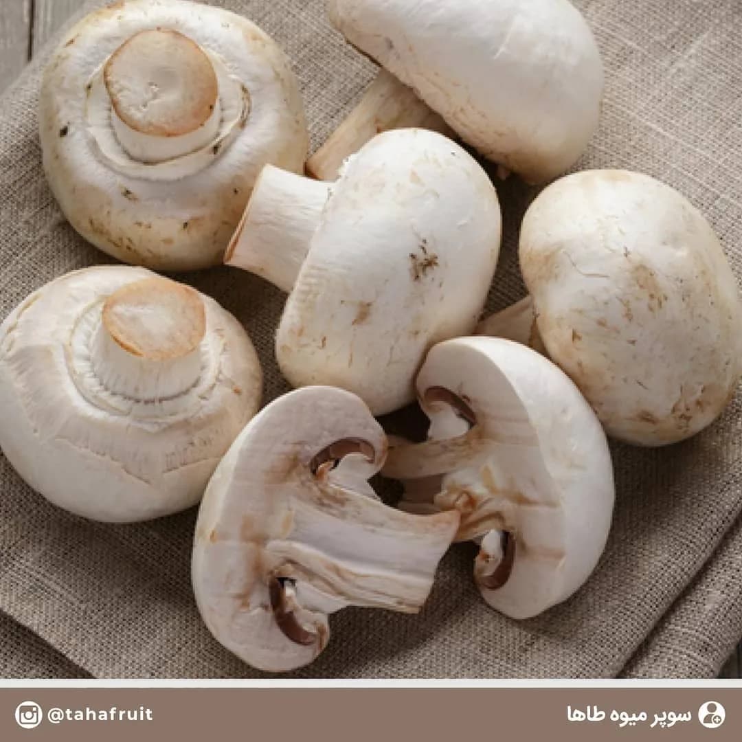 قارچ
