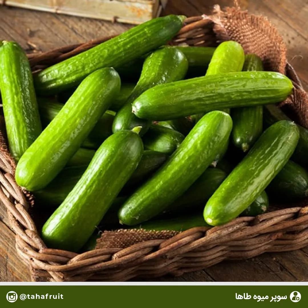 خیار، رنگ سبز، صیفی‌جات