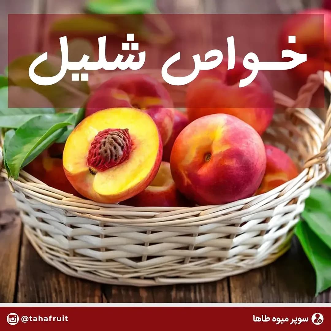 شلیل