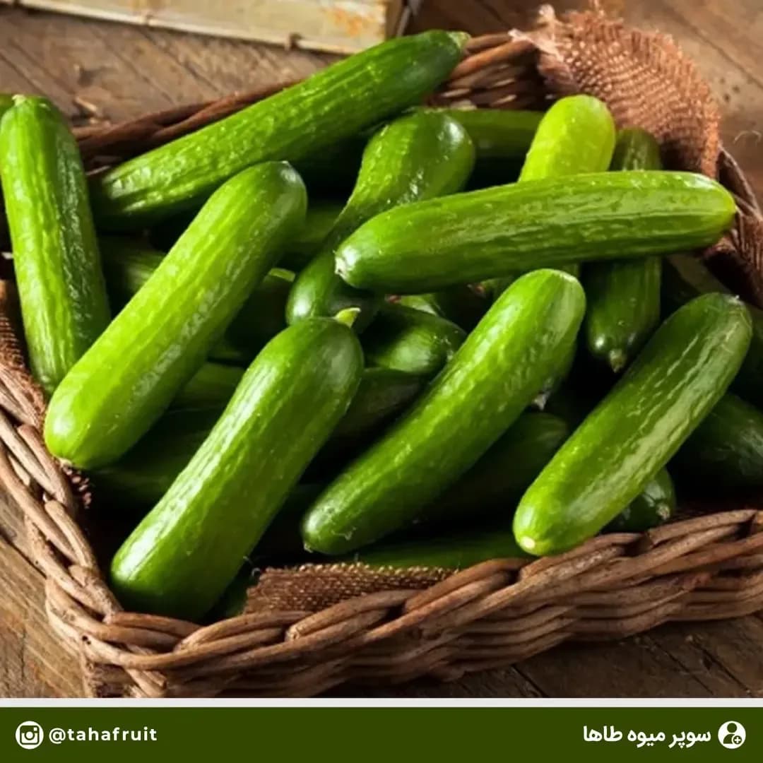 خیار گلخانه‌ای، رنگ سبز، سبزیجات