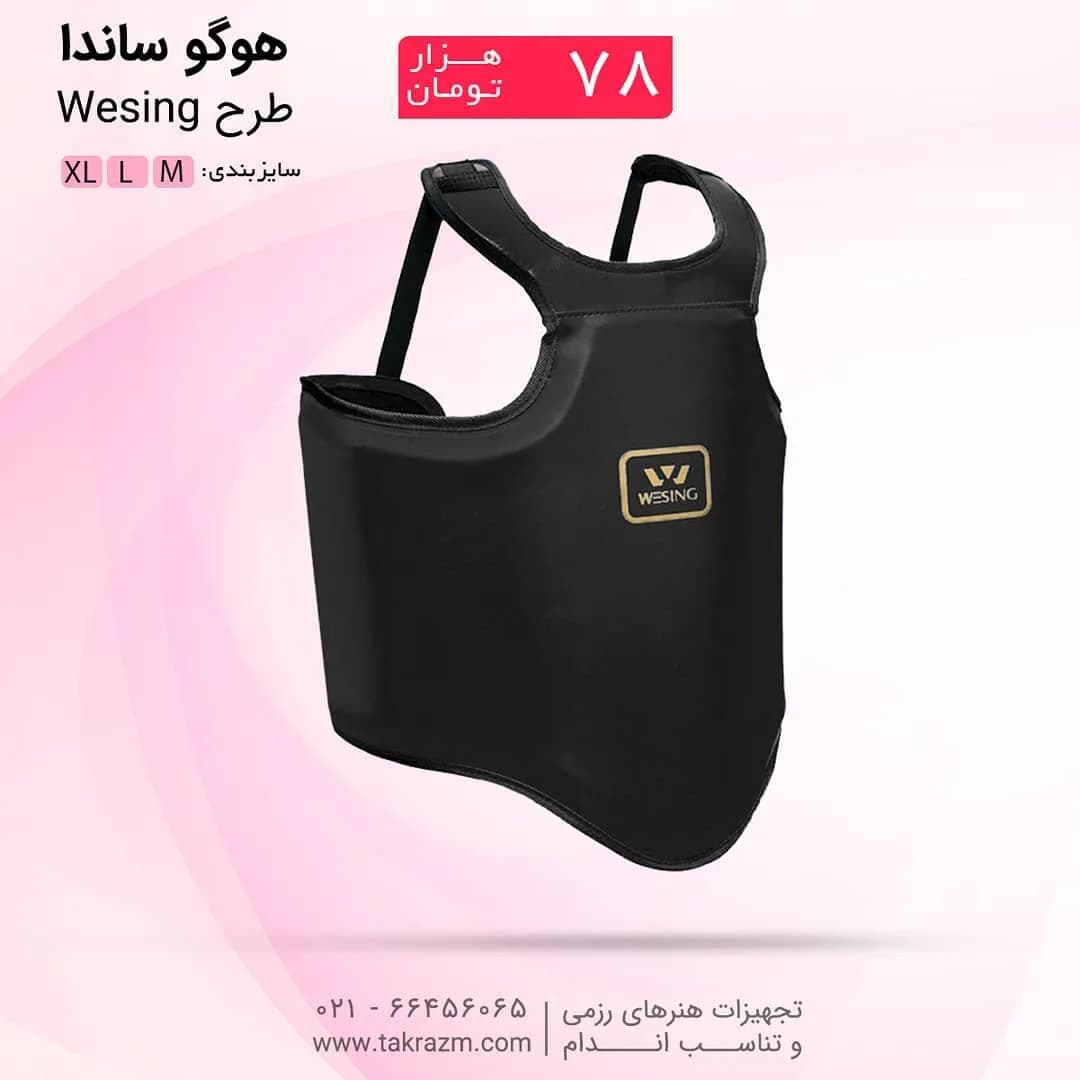هوگو ساندا WESING